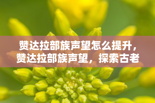 赞达拉部族声望怎么提升,赞达拉部族声望,探索古老部落的荣耀与传承 赞达拉部族声望怎么提升,赞达拉部族声望,探索古老部落的荣耀与传承