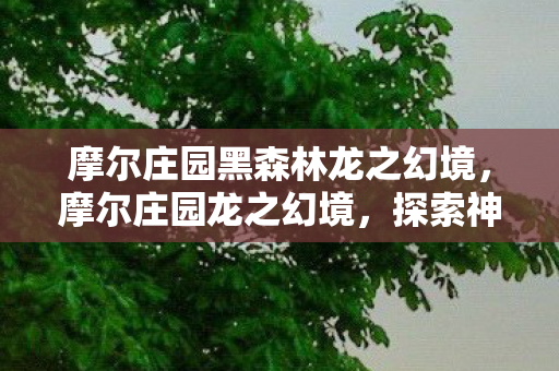 摩尔庄园黑森林龙之幻境，摩尔庄园龙之幻境，探索神秘世界的奇幻之旅