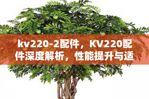 kv220-2配件,KV220配件深度解析,性能提升与适配策略 kv220-2配件,KV220配件深度解析,性能提升与适配策略