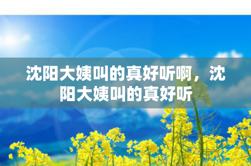 沈阳大姨叫的真好听啊图片