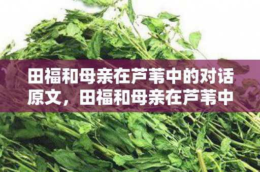田福和母亲在芦苇中的对话原文,田福和母亲在芦苇中的对话 田福和母亲在芦苇中的对话原文,田福和母亲在芦苇中的对话