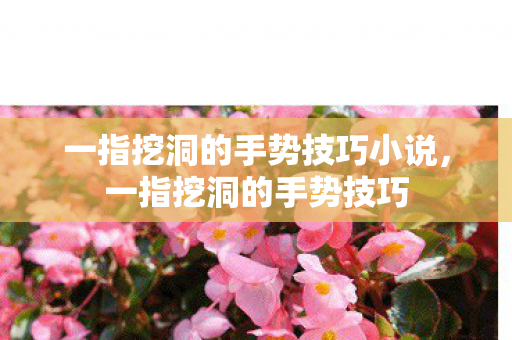 一指挖洞的手势技巧小说图片