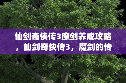 仙剑奇侠传3魔剑养成攻略,仙剑奇侠传3,魔剑的传奇与宿命 仙剑奇侠传3魔剑养成攻略,仙剑奇侠传3,魔剑的传奇与宿命