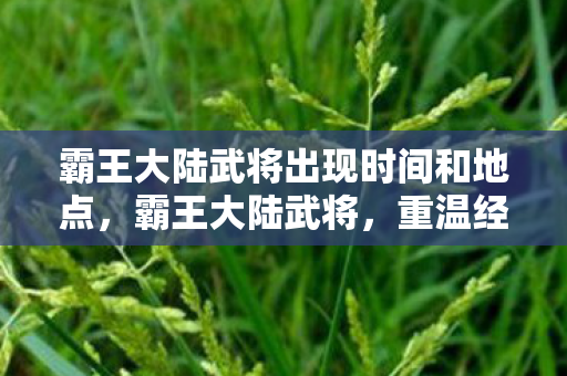 霸王大陆武将出现时间和地点，霸王大陆武将，重温经典，探索武将传奇