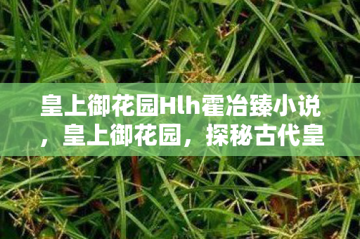 皇上御花园Hlh霍冶臻小说,皇上御花园,探秘古代皇家园林的瑰丽与雅致 皇上御花园Hlh霍冶臻小说,皇上御花园,探秘古代皇家园林的瑰丽与雅致