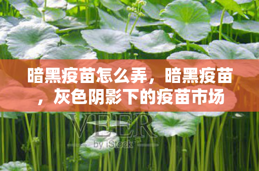 暗黑疫苗怎么弄,暗黑疫苗,灰色阴影下的疫苗市场 暗黑疫苗怎么弄,暗黑疫苗,灰色阴影下的疫苗市场