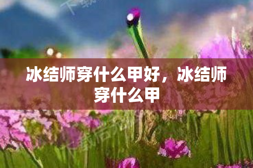 冰结师穿什么甲好,冰结师穿什么甲 冰结师穿什么甲好,冰结师穿什么甲