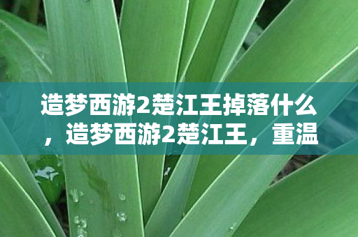 造梦西游2楚江王掉落什么,造梦西游2楚江王,重温经典,探索未知 造梦西游2楚江王掉落什么,造梦西游2楚江王,重温经典,探索未知