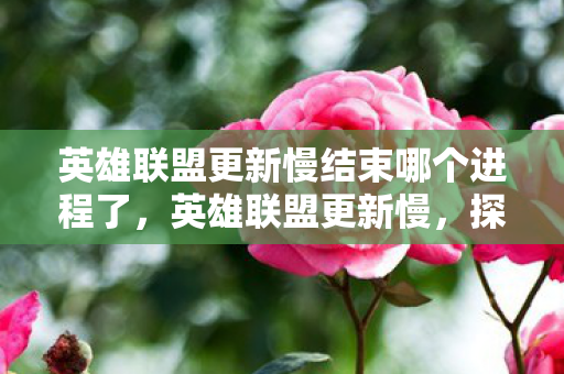 英雄联盟更新慢结束哪个进程了，英雄联盟更新慢，探讨背后的原因与解决方案
