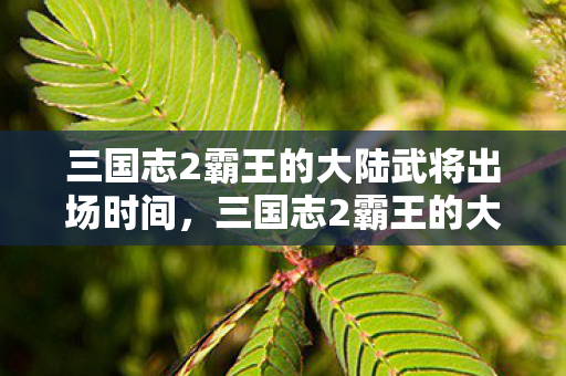 三国志2霸王的大陆武将出场时间,三国志2霸王的大陆,武将风云录 三国志2霸王的大陆武将出场时间,三国志2霸王的大陆,武将风云录