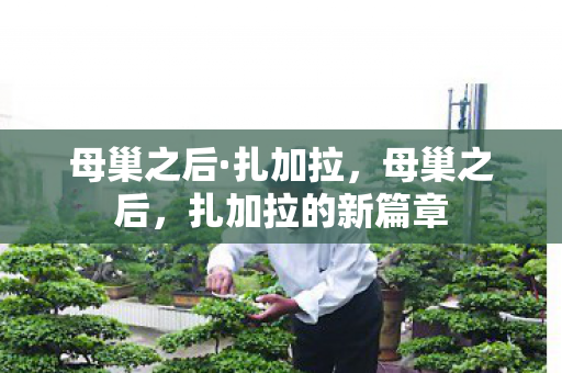 母巢之后·扎加拉，母巢之后，扎加拉的新篇章