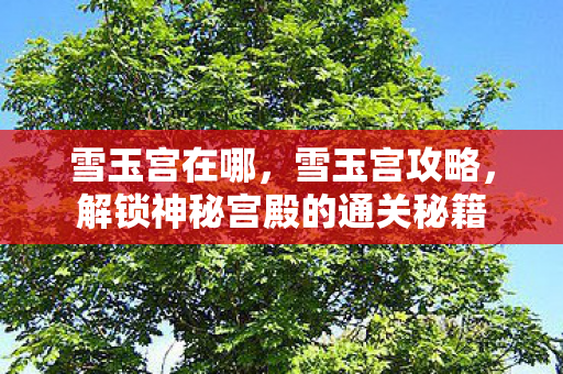 雪玉宫在哪，雪玉宫攻略，解锁神秘宫殿的通关秘籍