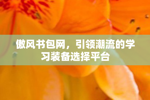 傲风书包网，引领潮流的学习装备选择平台