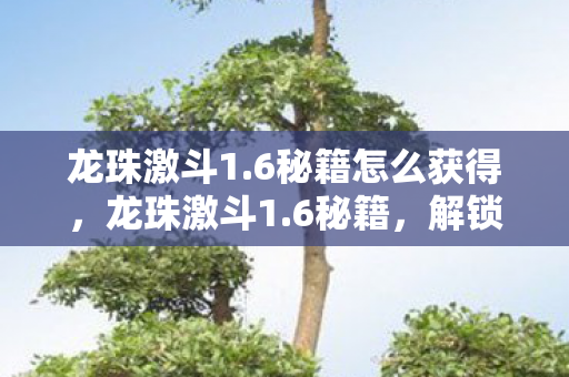 龙珠激斗1.6秘籍怎么获得,龙珠激斗1.6秘籍,解锁战斗新境界 龙珠激斗1.6秘籍怎么获得,龙珠激斗1.6秘籍,解锁战斗新境界