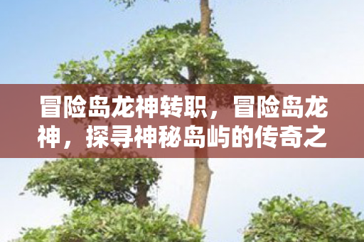 冒险岛龙神转职,冒险岛龙神,探寻神秘岛屿的传奇之旅 冒险岛龙神转职,冒险岛龙神,探寻神秘岛屿的传奇之旅