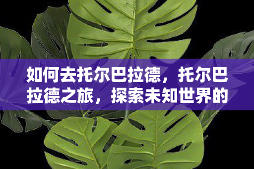 如何去托尔巴拉德,托尔巴拉德之旅,探索未知世界的奇妙旅程 如何去托尔巴拉德,托尔巴拉德之旅,探索未知世界的奇妙旅程