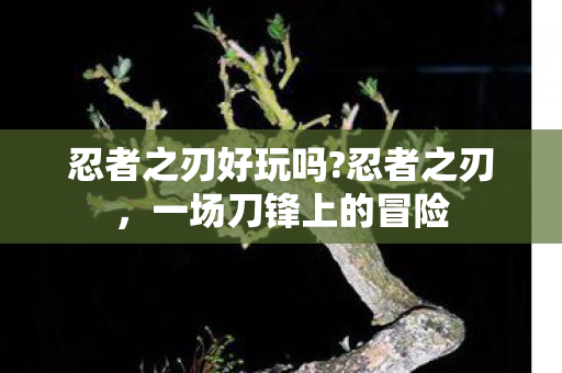 一场刀锋上的冒险图片