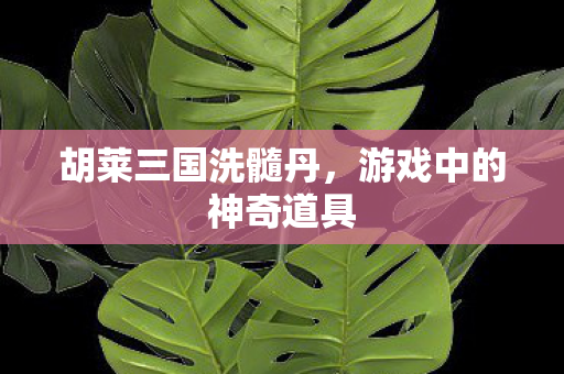 胡莱三国洗髓丹,游戏中的神奇道具 胡莱三国洗髓丹,游戏中的神奇道具