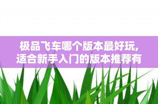 适合新手入门的版本推荐有吗图片