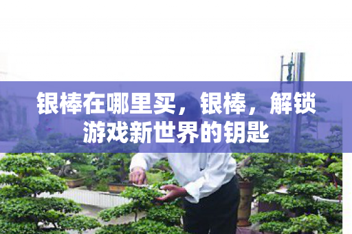 解锁游戏新世界的钥匙图片