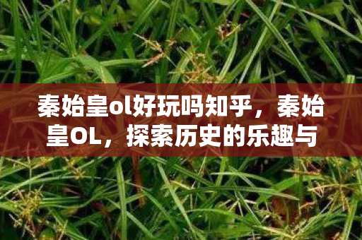 秦始皇ol好玩吗知乎,秦始皇OL,探索历史的乐趣与策略的挑战 秦始皇ol好玩吗知乎,秦始皇OL,探索历史的乐趣与策略的挑战