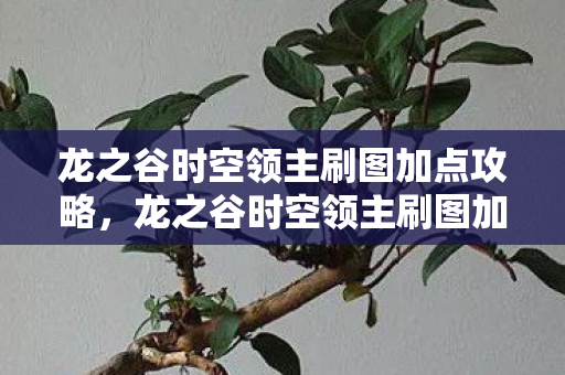 龙之谷时空领主刷图加点攻略,龙之谷时空领主刷图加点攻略 龙之谷时空领主刷图加点攻略,龙之谷时空领主刷图加点攻略