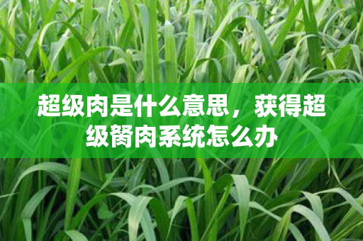超级肉是什么意思,获得超级胬肉系统怎么办 超级肉是什么意思,获得超级胬肉系统怎么办