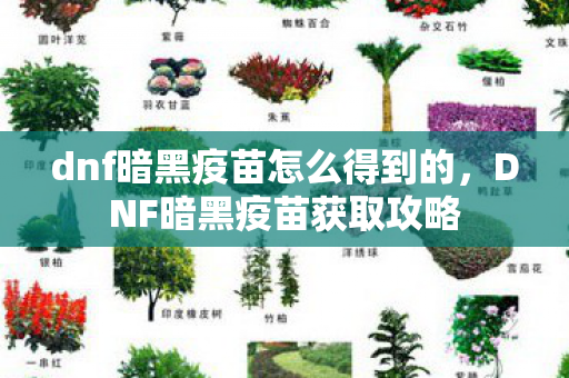 dnf暗黑疫苗怎么得到的,DNF暗黑疫苗获取攻略 dnf暗黑疫苗怎么得到的,DNF暗黑疫苗获取攻略