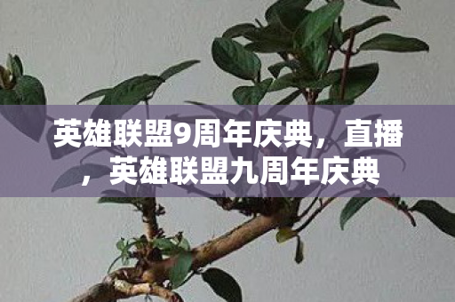 英雄联盟9周年庆典图片