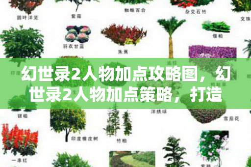 幻世录2人物加点攻略图，幻世录2人物加点策略，打造最强角色