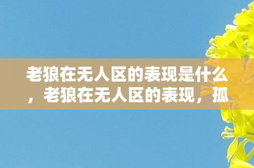 老狼在无人区的表现是什么，老狼在无人区的表现，孤独与坚韧的交响曲