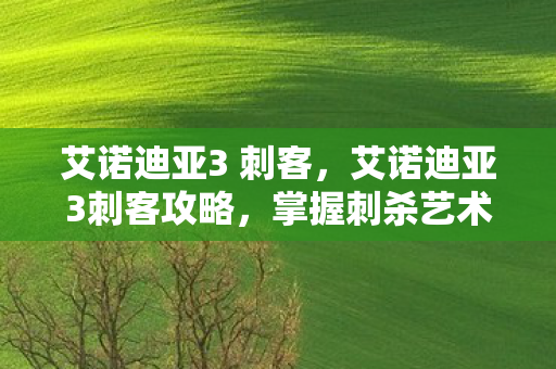 艾诺迪亚3 刺客,艾诺迪亚3刺客攻略,掌握刺杀艺术的精髓 艾诺迪亚3 刺客,艾诺迪亚3刺客攻略,掌握刺杀艺术的精髓