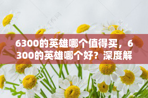 6300的英雄哪个值得买图片