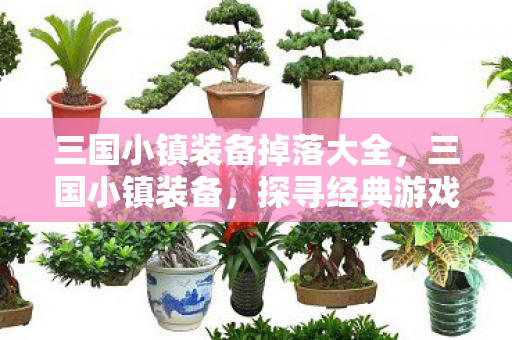 三国小镇装备掉落大全,三国小镇装备,探寻经典游戏中的神兵利器 三国小镇装备掉落大全,三国小镇装备,探寻经典游戏中的神兵利器