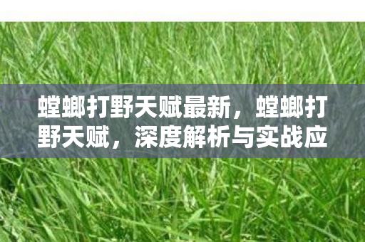 螳螂打野天赋最新,螳螂打野天赋,深度解析与实战应用 螳螂打野天赋最新,螳螂打野天赋,深度解析与实战应用