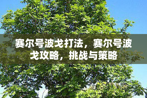 赛尔号波戈打法，赛尔号波戈攻略，挑战与策略