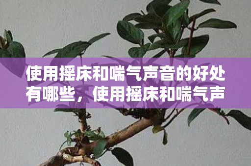 使用摇床和喘气声音的好处有哪些，使用摇床和喘气声音的好处