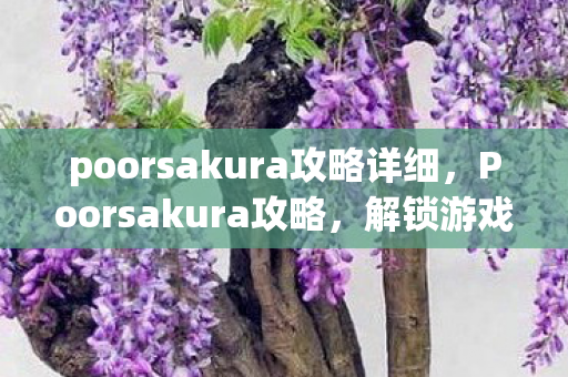 poorsakura攻略详细图片