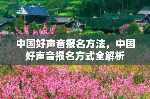 中国好声音报名方法,中国好声音报名方式全解析 中国好声音报名方法,中国好声音报名方式全解析