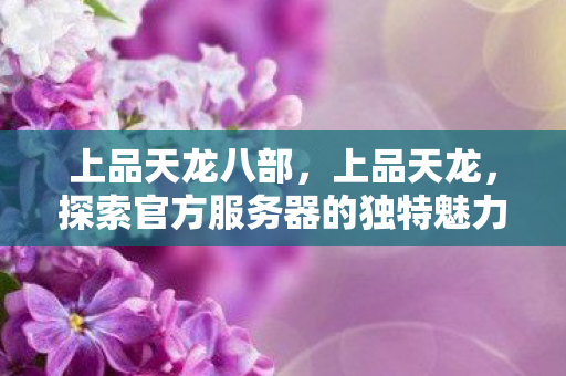上品天龙八部,上品天龙,探索官方服务器的独特魅力与优势 上品天龙八部,上品天龙,探索官方服务器的独特魅力与优势