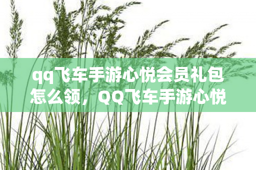 qq飞车手游心悦会员礼包怎么领,QQ飞车手游心悦,打造个性化游戏体验的必备神器 qq飞车手游心悦会员礼包怎么领,QQ飞车手游心悦,打造个性化游戏体验的必备神器