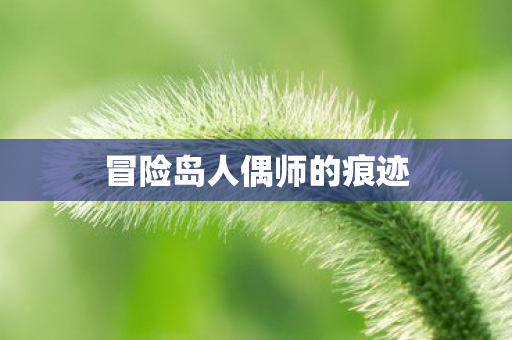 冒险岛人偶师的痕迹 冒险岛人偶师的痕迹