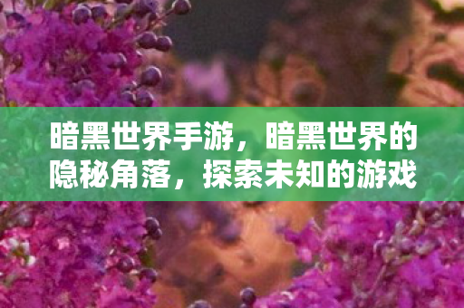 暗黑世界手游，暗黑世界的隐秘角落，探索未知的游戏维度