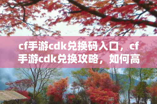 cf手游cdk兑换码入口，cf手游cdk兑换攻略，如何高效兑换与使用CDK