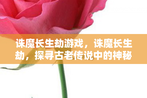诛魔长生劫游戏，诛魔长生劫，探寻古老传说中的神秘之旅