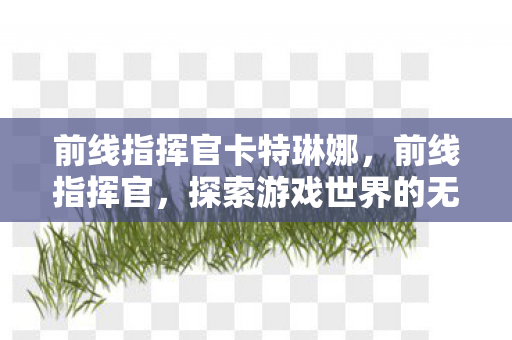 前线指挥官卡特琳娜,前线指挥官,探索游戏世界的无限可能 前线指挥官卡特琳娜,前线指挥官,探索游戏世界的无限可能