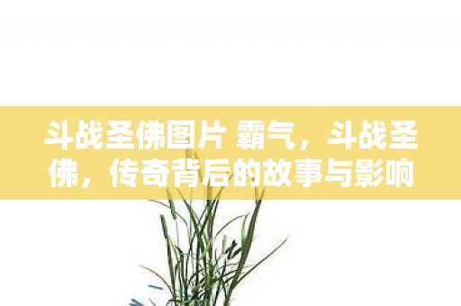 斗战圣佛图片 霸气，斗战圣佛，传奇背后的故事与影响