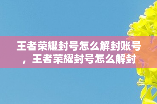 王者荣耀封号怎么解封账号，王者荣耀封号怎么解封