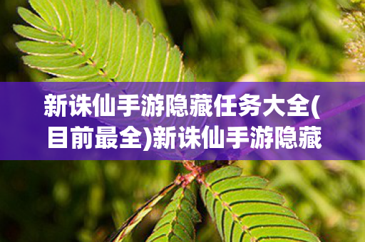 新诛仙手游隐藏任务大全(目前最全)新诛仙手游隐藏任务大全 新诛仙手游隐藏任务大全(目前最全)新诛仙手游隐藏任务大全