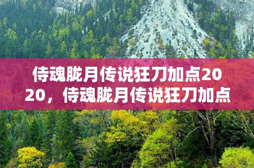 侍魂胧月传说狂刀加点2020,侍魂胧月传说狂刀加点攻略,打造最强战斗力的关键 侍魂胧月传说狂刀加点2020,侍魂胧月传说狂刀加点攻略,打造最强战斗力的关键